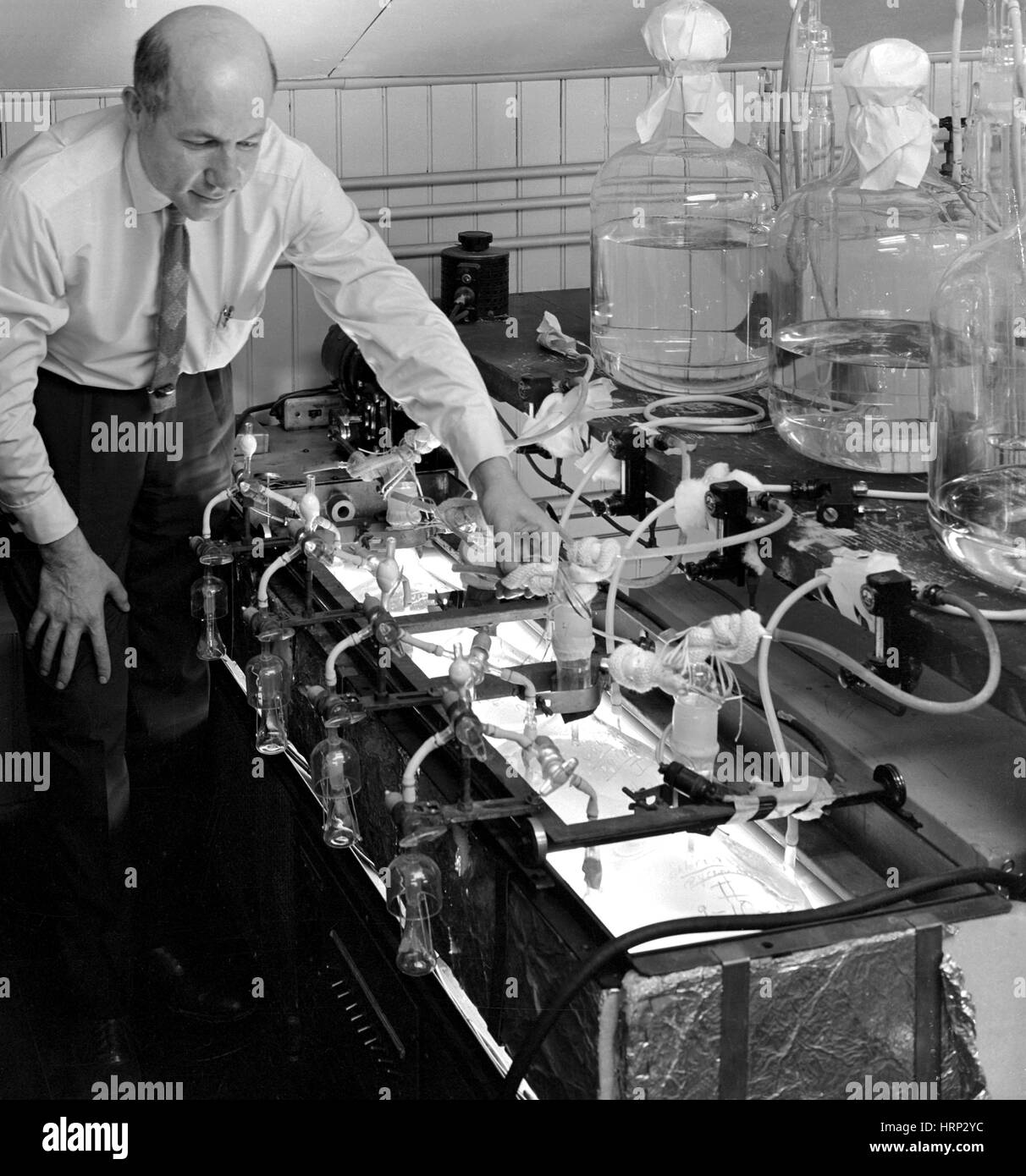 Melvin Calvin, US-amerikanischer Chemiker Stockfoto