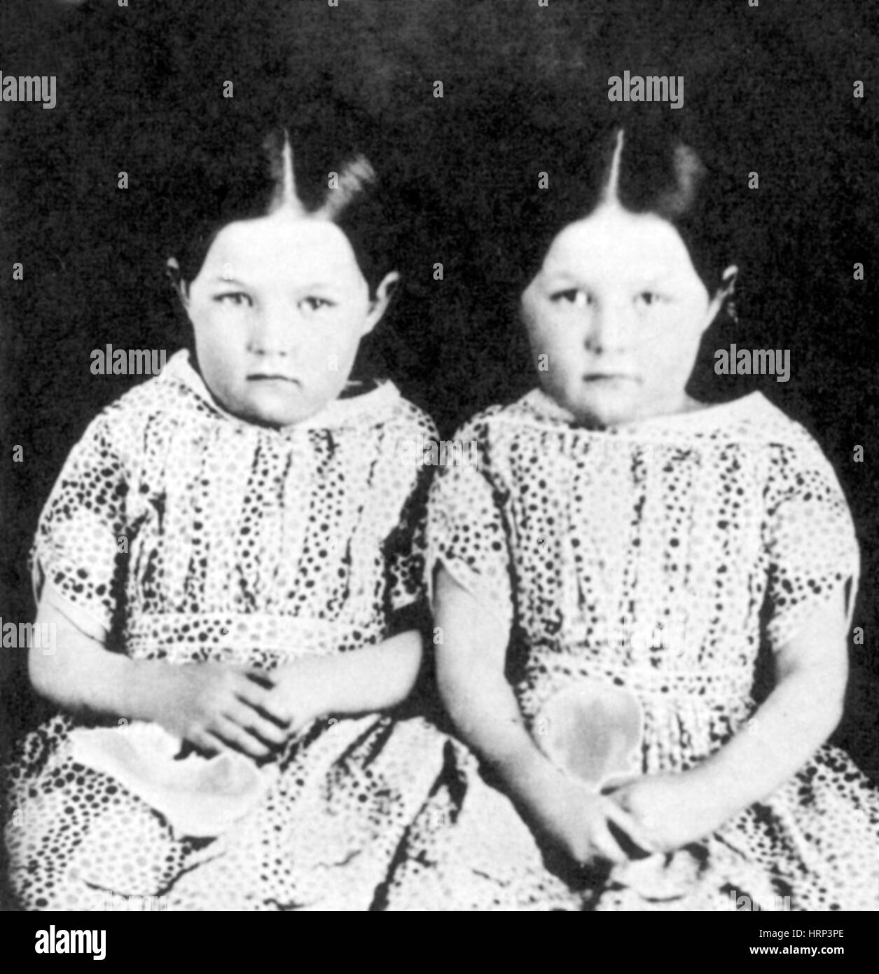 Zwillingsschwestern, 1854 Stockfoto
