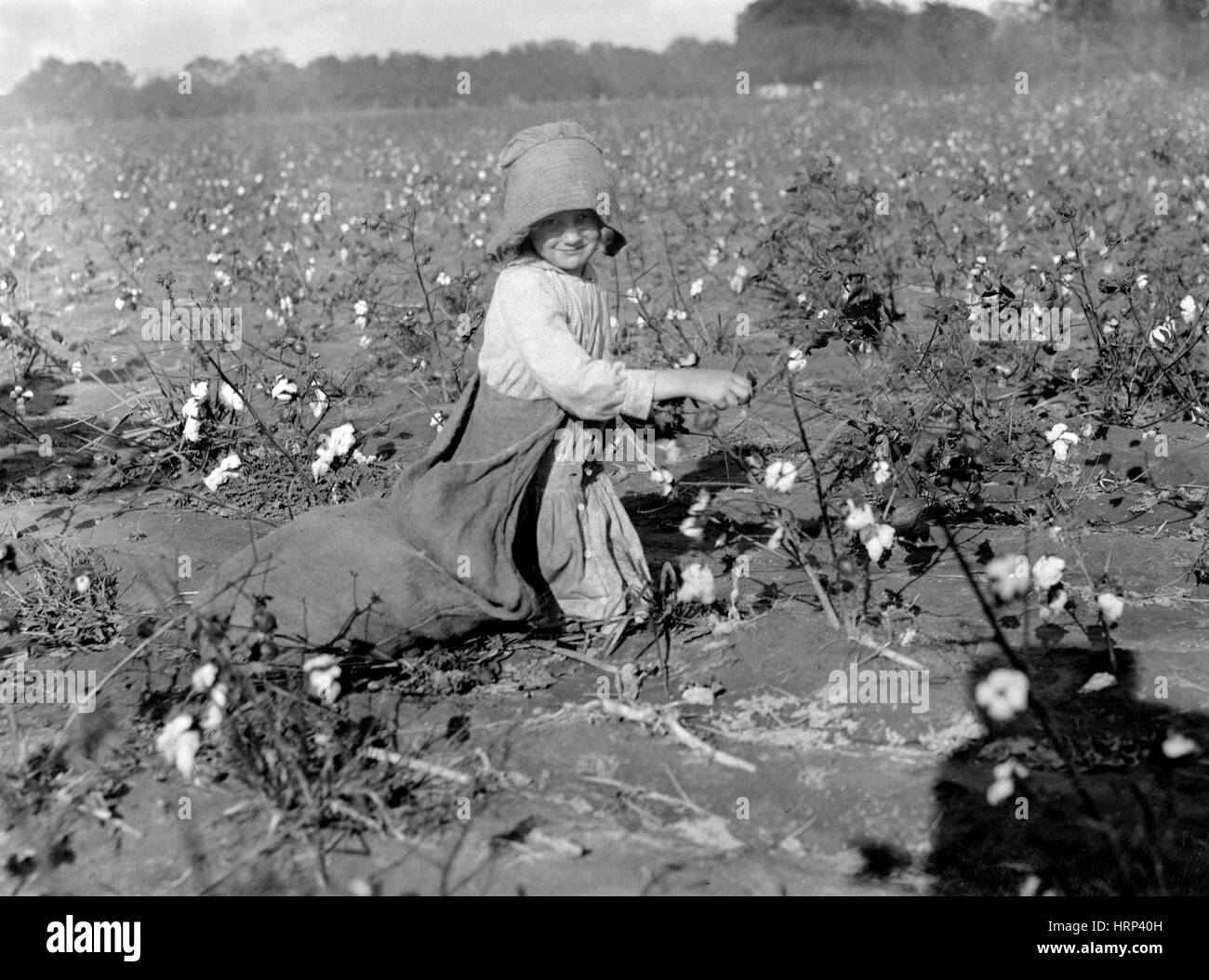 Texas Baumwollpflücker, 1913 Stockfoto