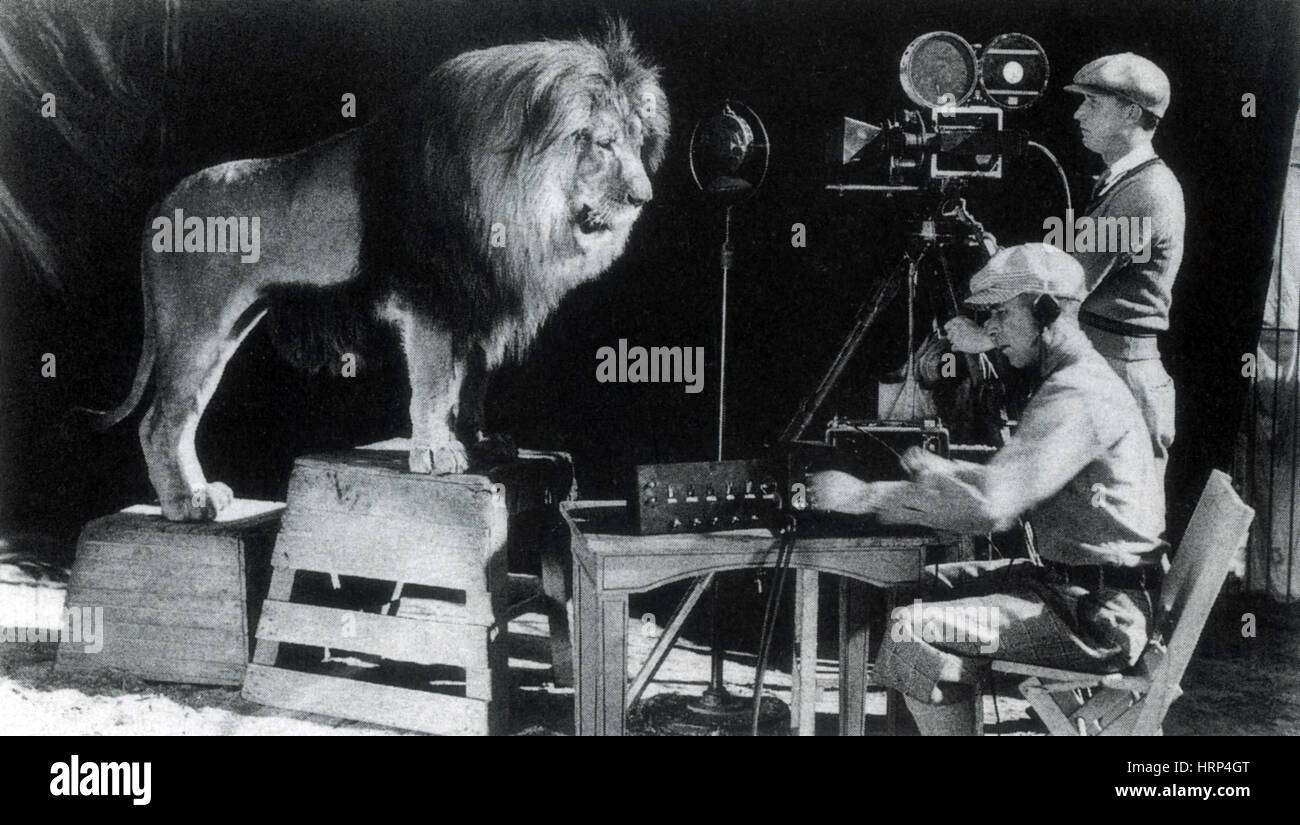 Aufnahme-MGM-Löwen brüllen, 1928 Stockfoto