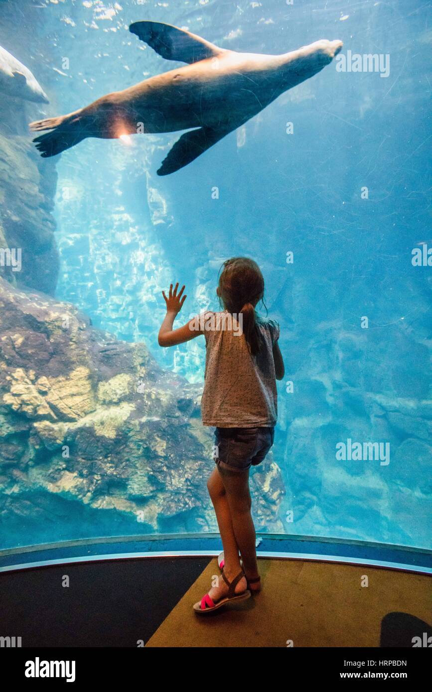 6 Jahre altes Mädchen beobachten Fische in einem Aquarium. Stockfoto