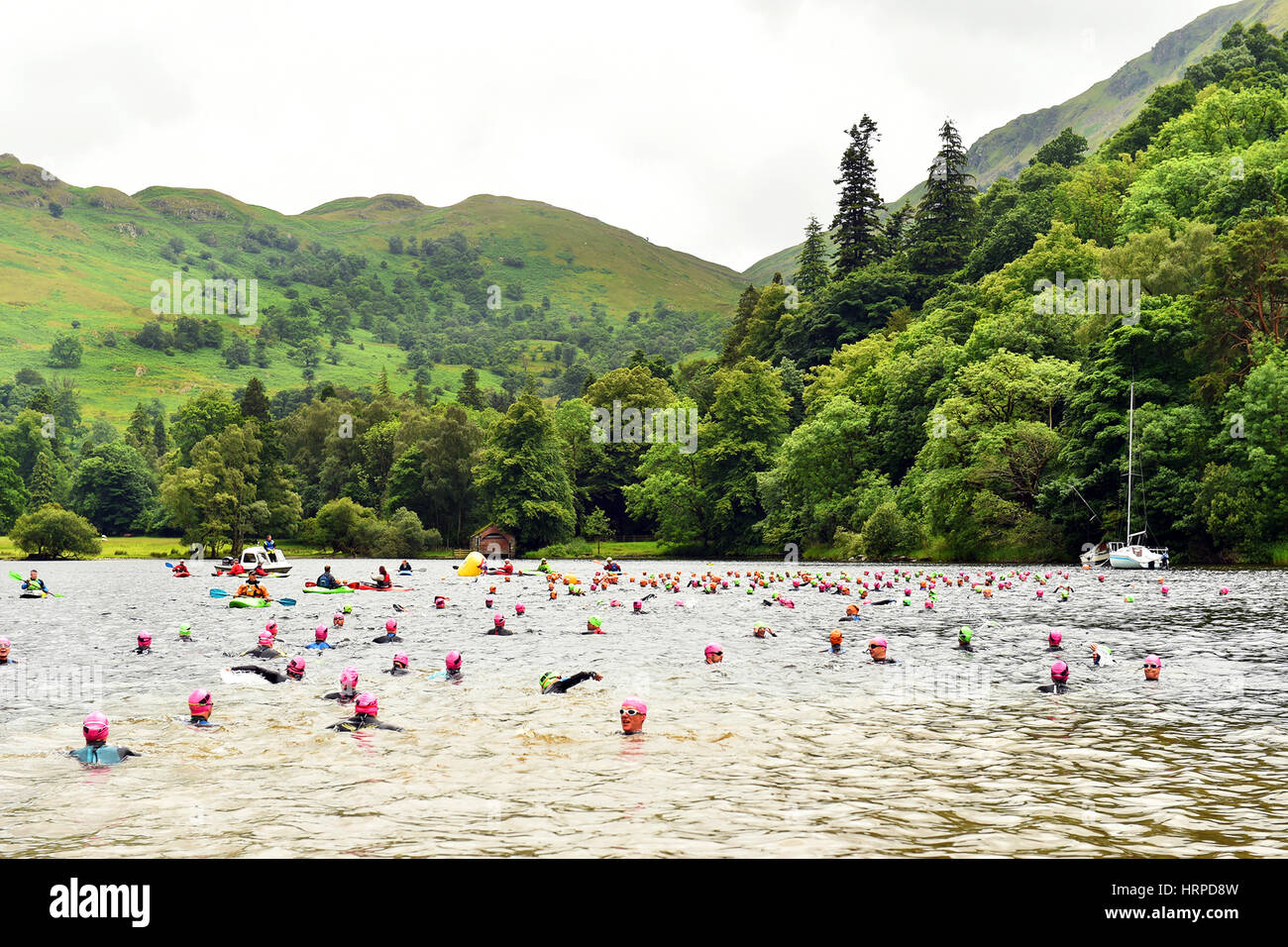 Ullswater Open Water Schwimmen, Lake District UK Stockfoto