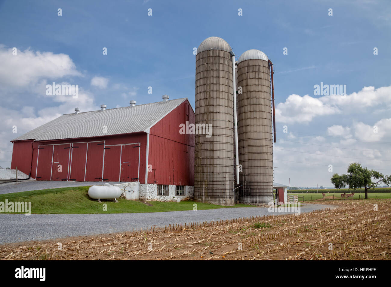 Amish Scheune und Hof in Lancaster, PA Stockfoto