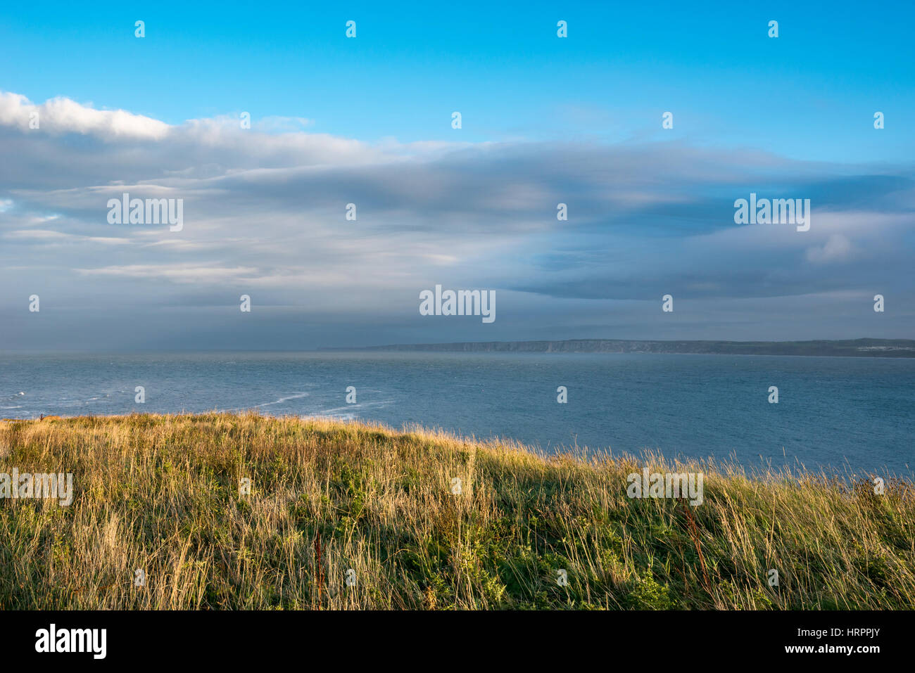 Blick vom Carr Naze, Filey an einem schönen Abend September. North Yorkshire, England. Stockfoto