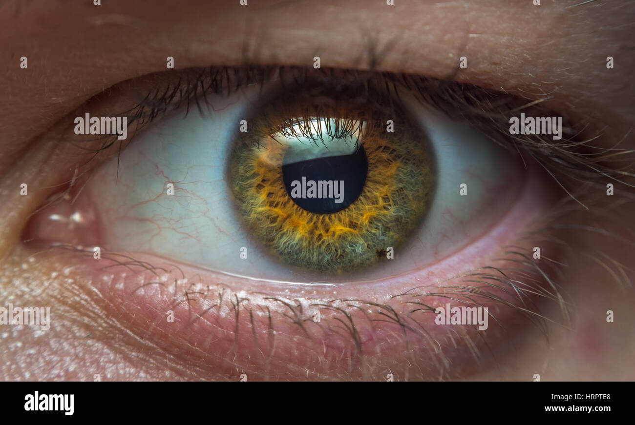 Ein menschliches Auge starrte direkt in das Ziel ein Iris-Scanner sein könnte. Konzept für Biometrie und Sicherheit. Stockfoto