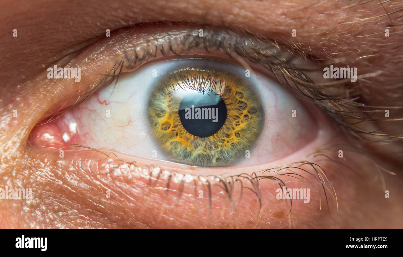 Extrem detaillierte schließen sich eines menschlichen Auges mit verschiedenen Farben, Formen und Mustern. Stockfoto
