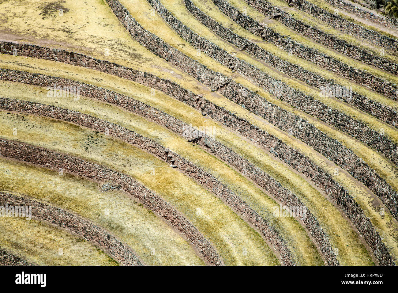 Teil der konzentrischen landwirtschaftlichen Terrassen, Moray Inka Ruinen, Cusco, Peru Stockfoto