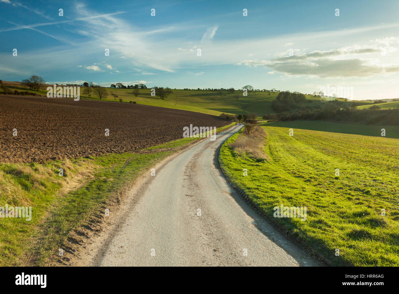 Vorfrühling in South Downs National Park, East Sussex, England. Stockfoto