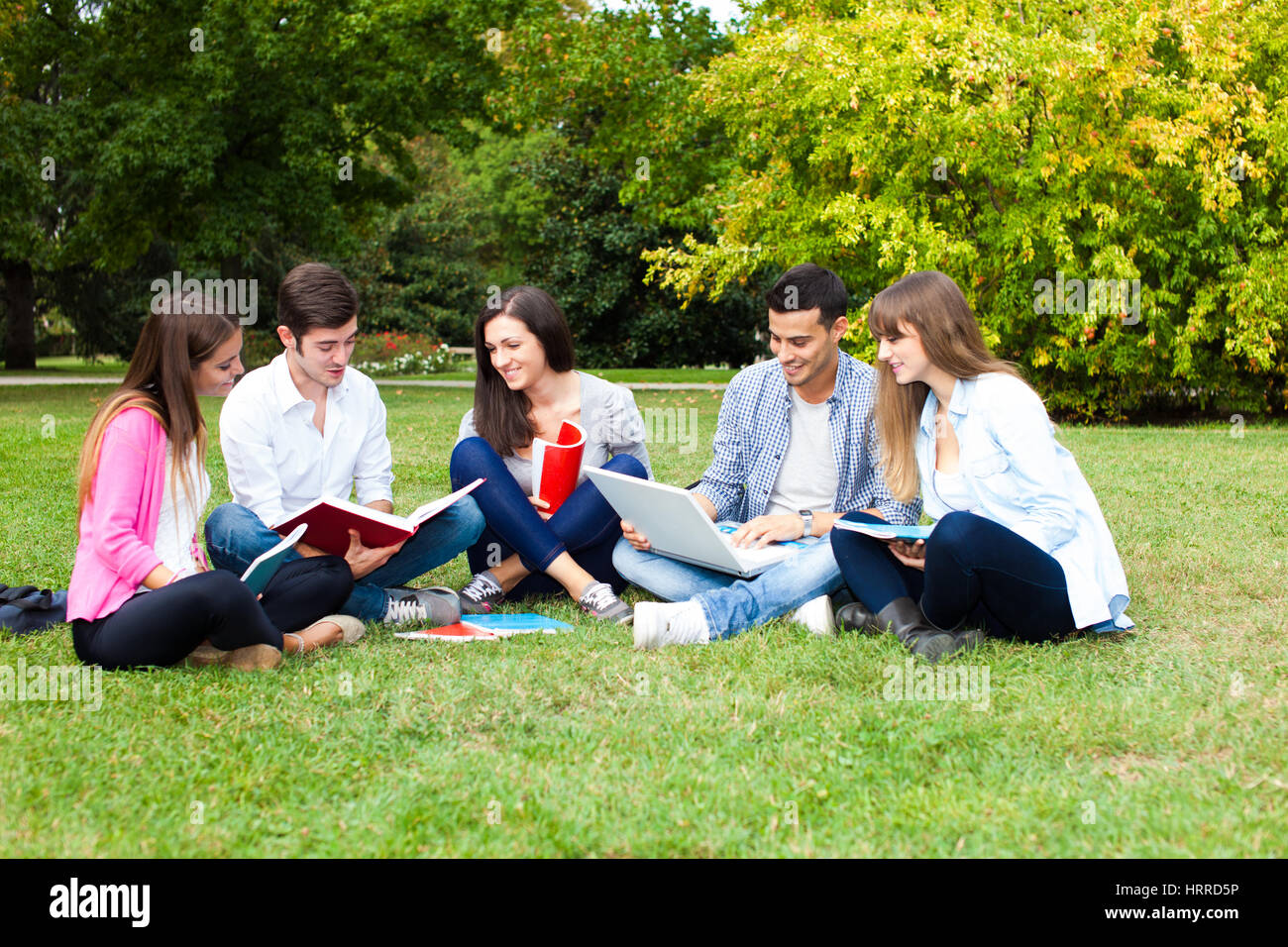 Gruppe von Freunden, die gemeinsam in einem Park studieren Stockfoto