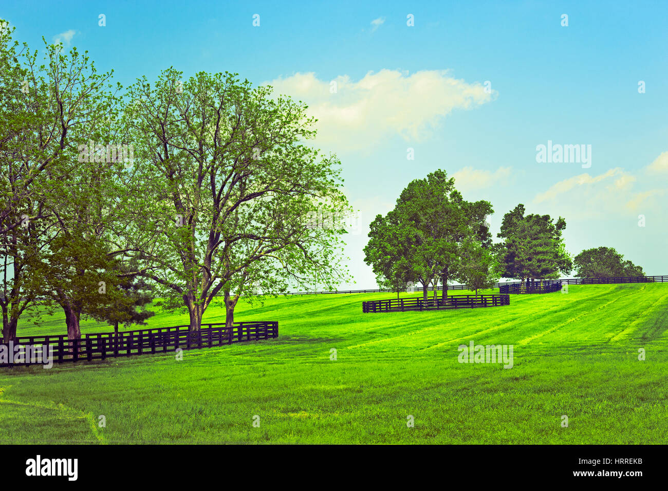 Schöne Pastorallandschaft mit Bäumen und Zäunen im Frühling im Franklin County, Kentucky, USA. Stockfoto