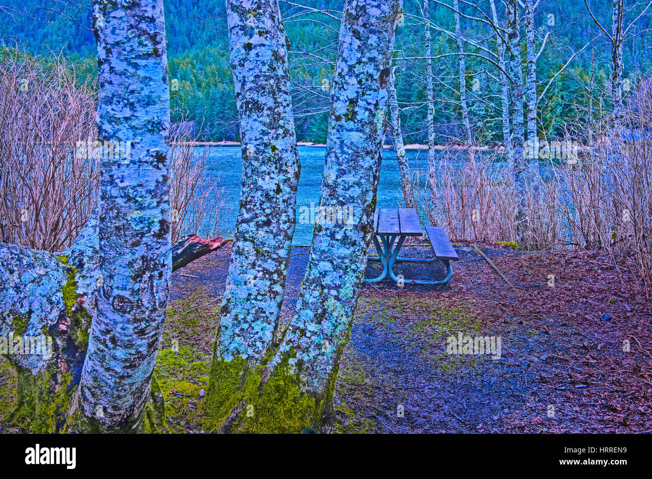 Picknickplatz am alten Sitka State Historical Park in der Nähe von Sitka, Alaska, USA. Fotografie von Jeffrey Wickett, NorthLight Fotografie. Stockfoto