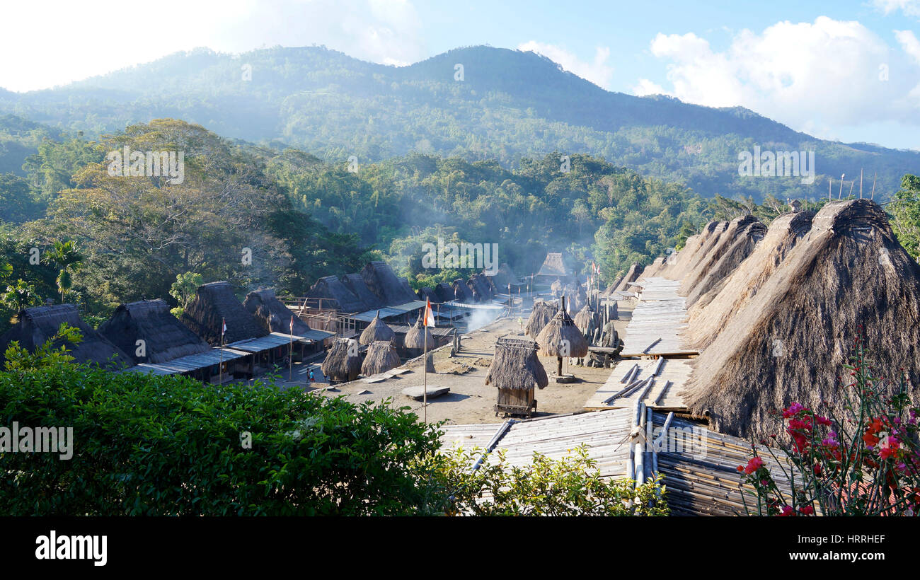 Bena ein traditionelles Dorf mit Grashütten der Ngada Leute in Flores in der Nähe von Bajawa, Indonesien. Stockfoto