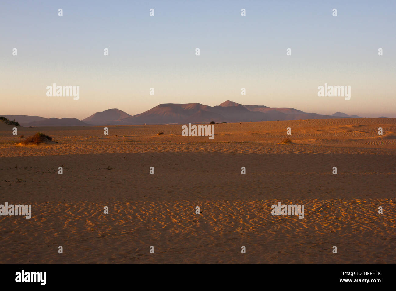 Hang-Hügel auf gelbe Dünen am Himmelshintergrund Sand. Sonnenaufgang am Morgen. Nachhaltigen Ökosystems. Kanarischen Inseln, Fuerteventura Stockfoto