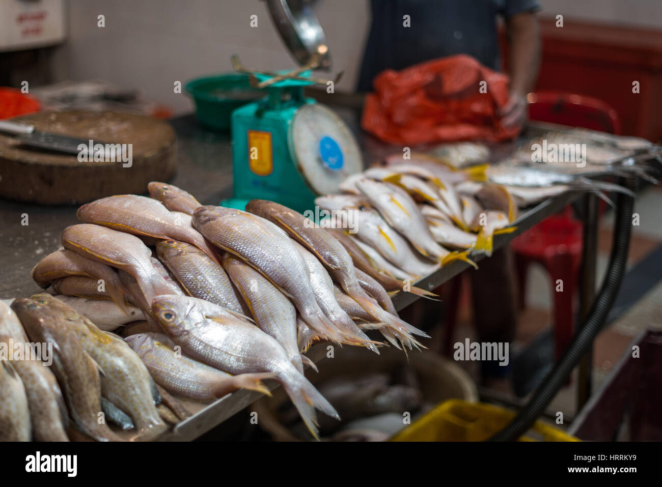 Ein Fischhändler in einem Singapur-Markt Stockfoto