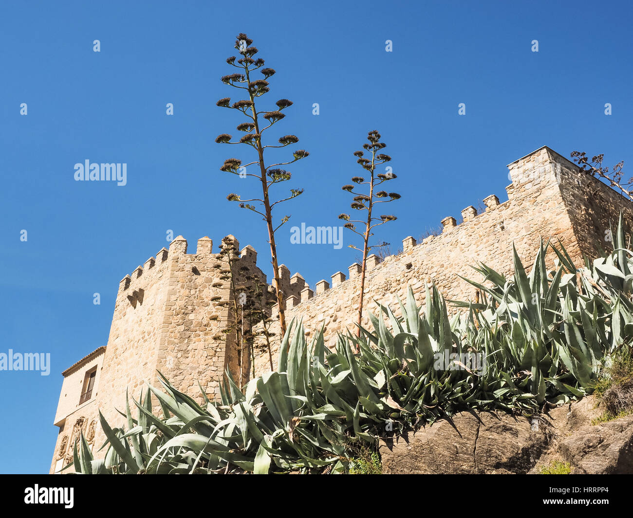 Kloster de Los reyes mit Agaven, Toledo, Spanien Stockfoto