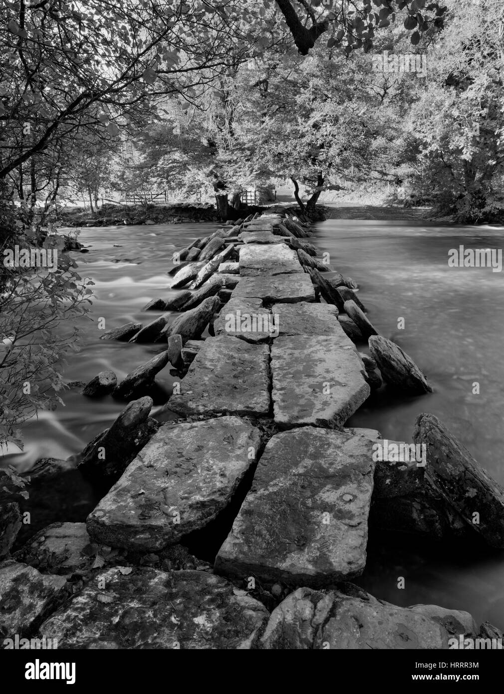 Fluß Barle, Exmoor, Somerset, suchen W bei Tarr Steps megalithischen Klöppel Brücke neben einer Furt Stelle (R). Durch Überschwemmungen Ereignisse zunehmend gefährdet Stockfoto