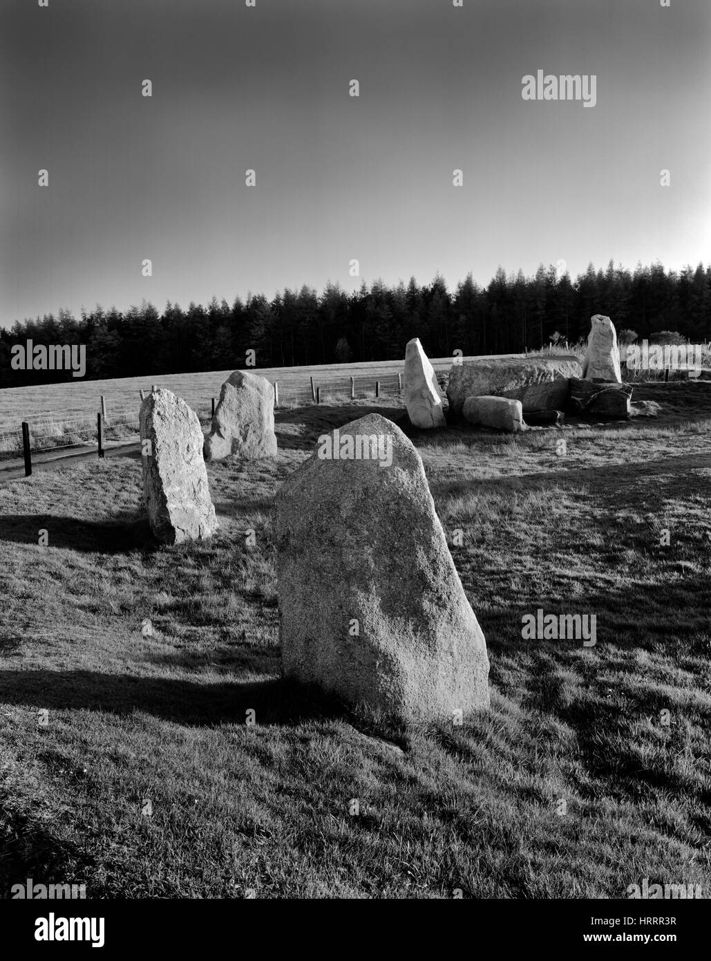 Südöstlichen Bogen von Ostern Aquhorthies Liegerad Steinkreis, Aberdeenshire, zeigt das Liegerad & Flankers plus 3 der 9 eingeschnittenen Kreis Steinen. Stockfoto