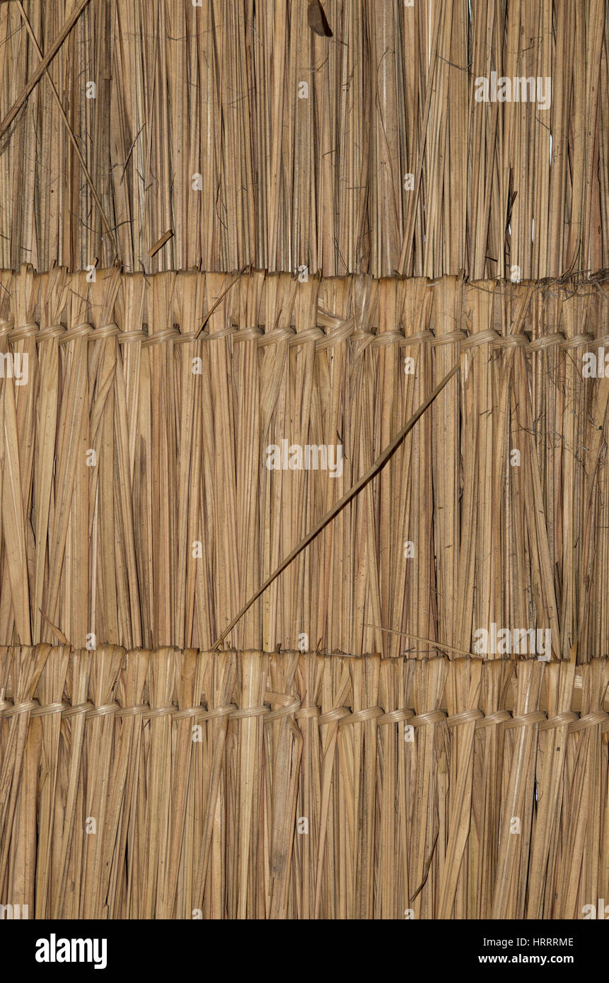 Bambus-Dach Stockfoto