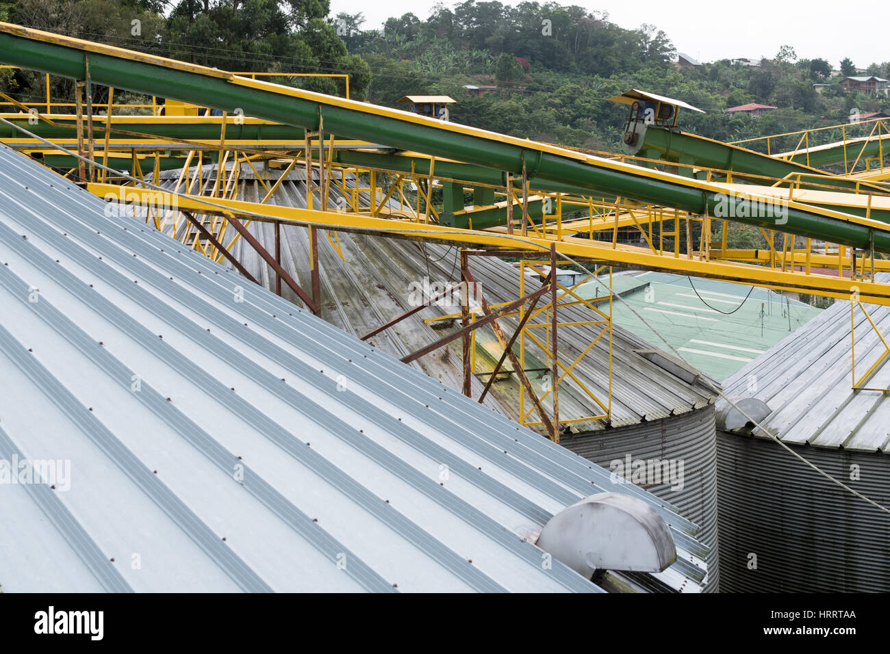 Kaffee-Lagerplätze in einer Kaffee-Anlage befindet sich in San Marcos, Costa Rica. Stockfoto