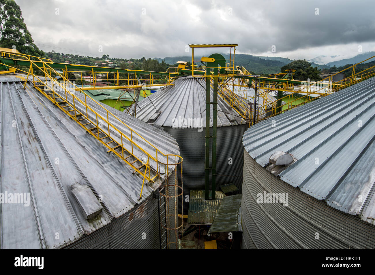 Kaffee-Lagerplätze in einer Kaffee-Anlage befindet sich in San Marcos, Costa Rica. Stockfoto