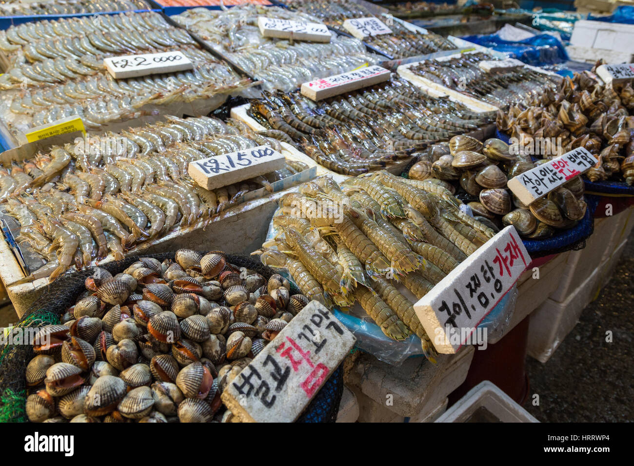 Muscheln, Garnelen und andere Meeresfrüchte auf dem Noryangjin Fischerei Großhandelsmarkt (oder Noryangjin Fischmarkt) in Seoul, Südkorea verkauft. Stockfoto