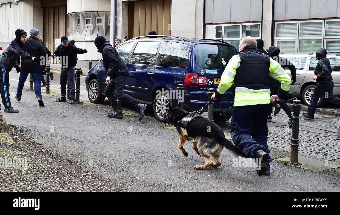 Polizeihunde werden während der Demonstrationen verwendet, wo in Bristol Stadtzentrum weit Rechte und antifaschistische Aktivisten protestieren. Stockfoto