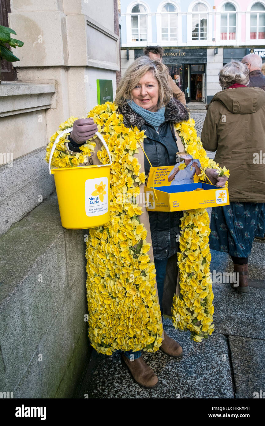 Marie-Curie-Narzisse Spendenaufruf Frau Narzissen sammeln Spenden Straße Truro Cornwall UK Stockfoto