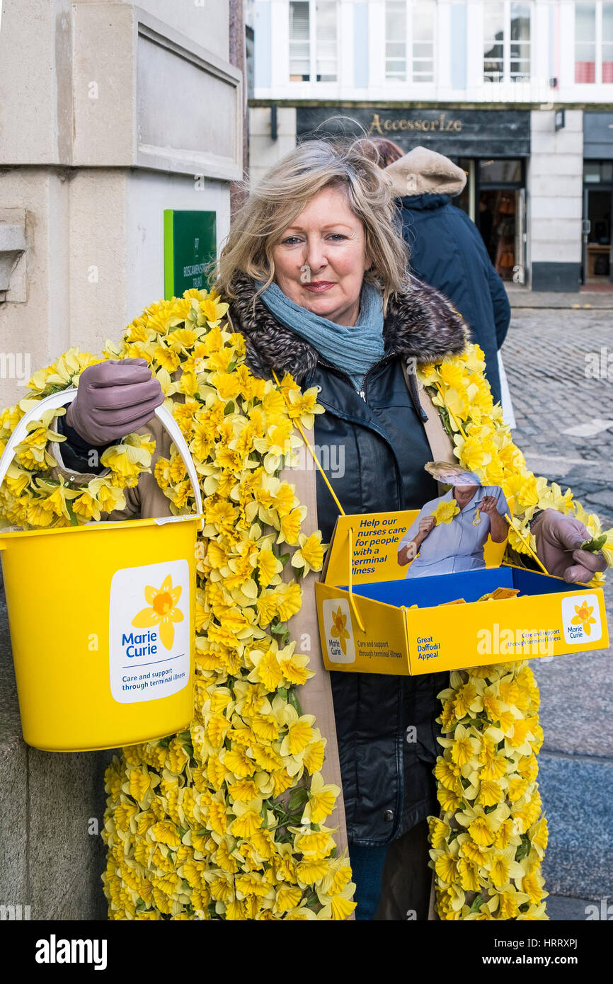 Marie-Curie-Narzisse Spendenaufruf Frau Narzissen sammeln Spenden Straße Truro Cornwall UK Stockfoto