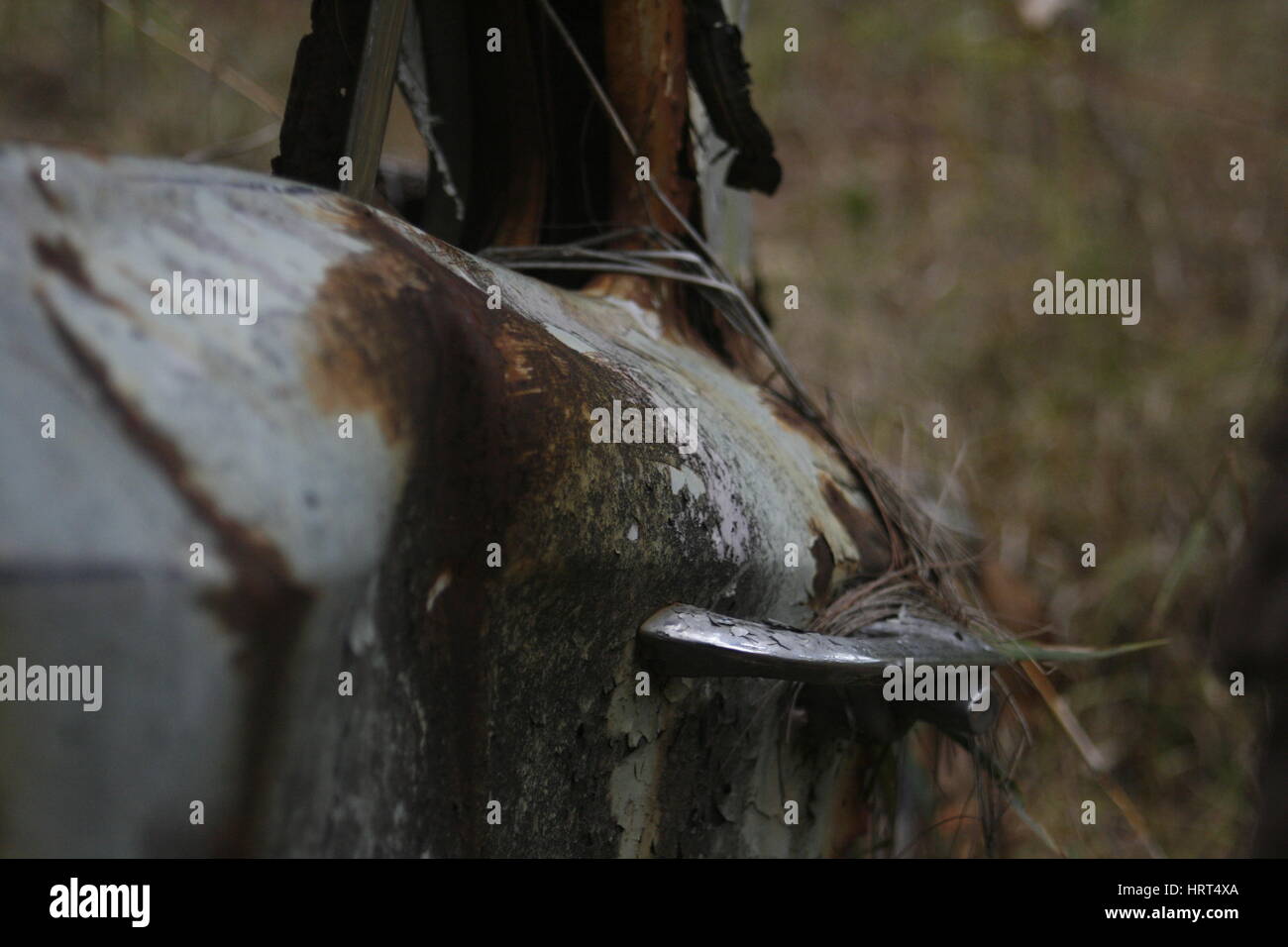 Verrostetes Autowrack Griff Stockfoto