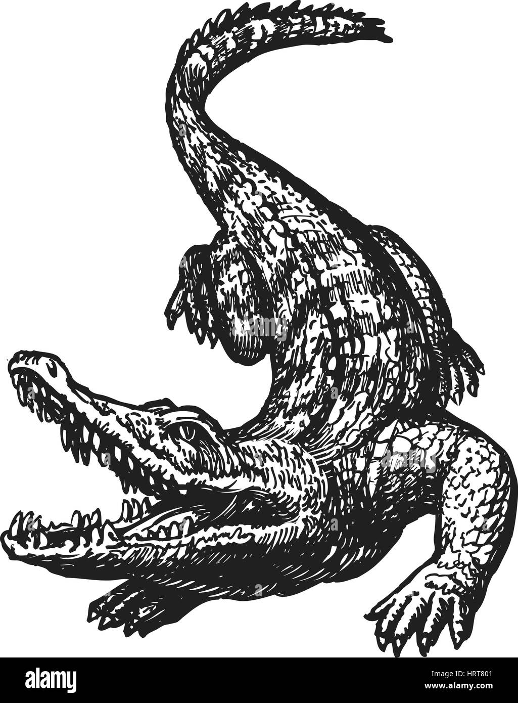 Hand gezeichnet böse Krokodil mit offenem Mund, skizzieren. Krokodil, riesigen Alligator, Gator-Vektor-illustration Stock Vektor