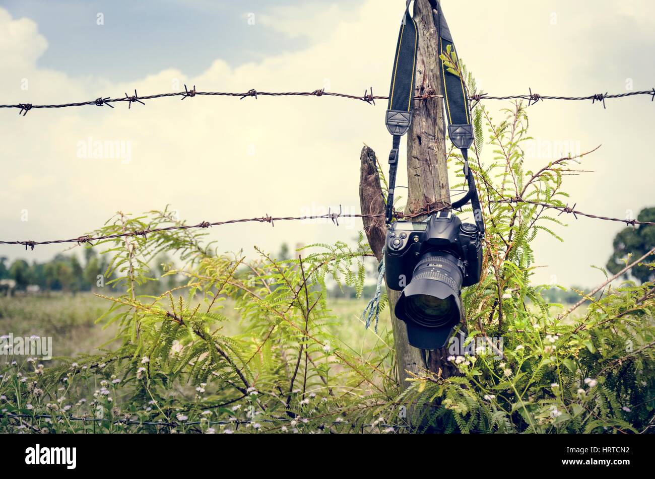 Kamera hängenden Zaun Natur grün Stockfoto