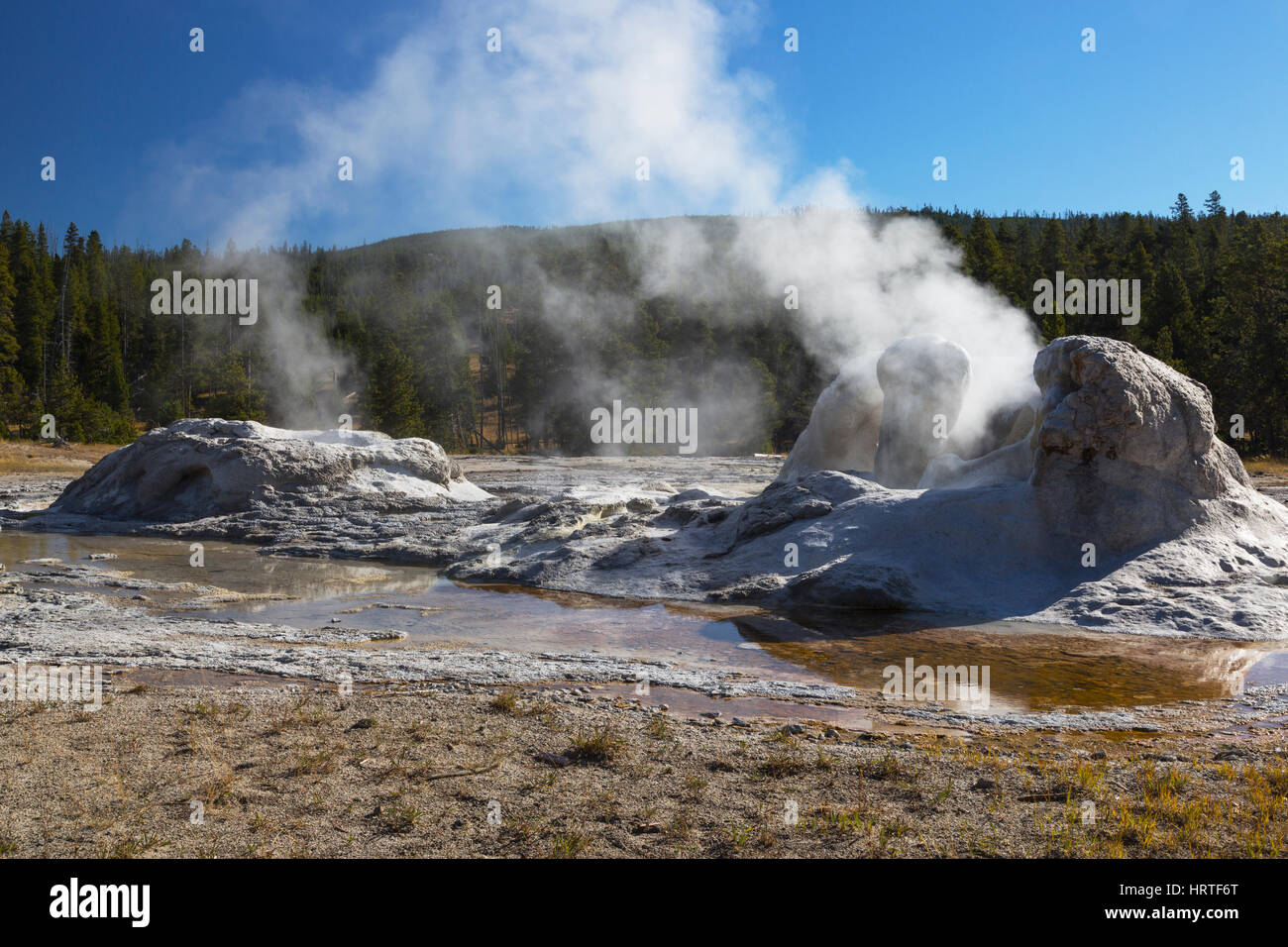 Grotto-Geysir in Upper Geyser Basin, Yellowstone National Park, USA Stockfoto