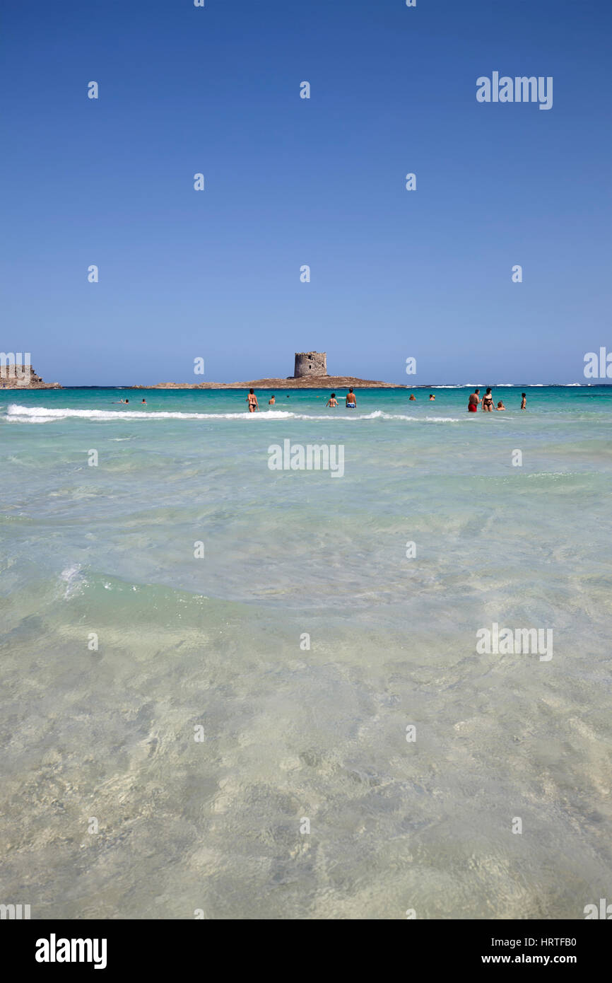 La Pelosa Beach und der Tower in Stintino, Sardinien, Italien Stockfoto