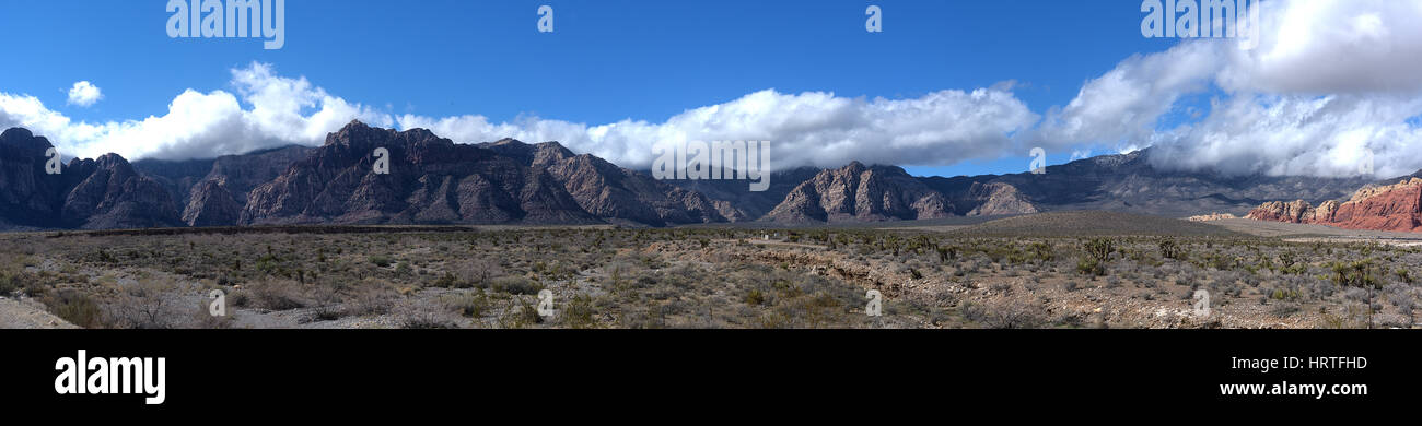 Ein Drachen fliegen auf einer Pflanze Stockfoto