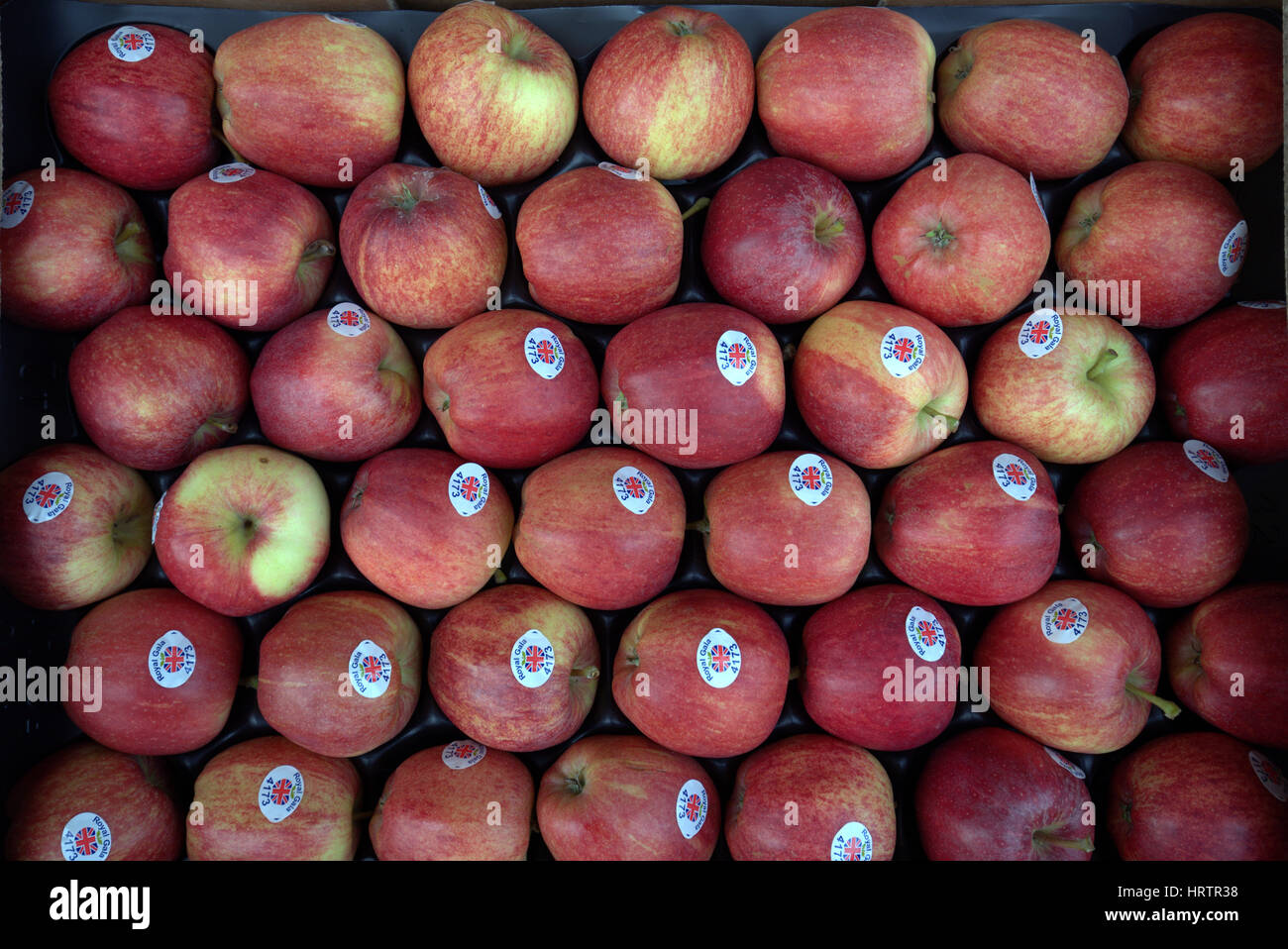 Obst und Gemüse stall rote Äpfel Stockfoto
