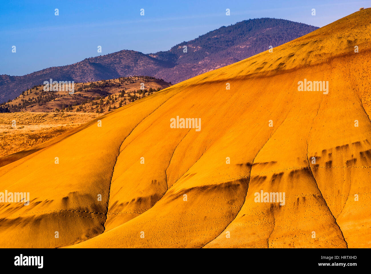 Painted Hills at John Day Fossil Beds National Monument, Painted Hills Unit, Oregon, USA Stockfoto