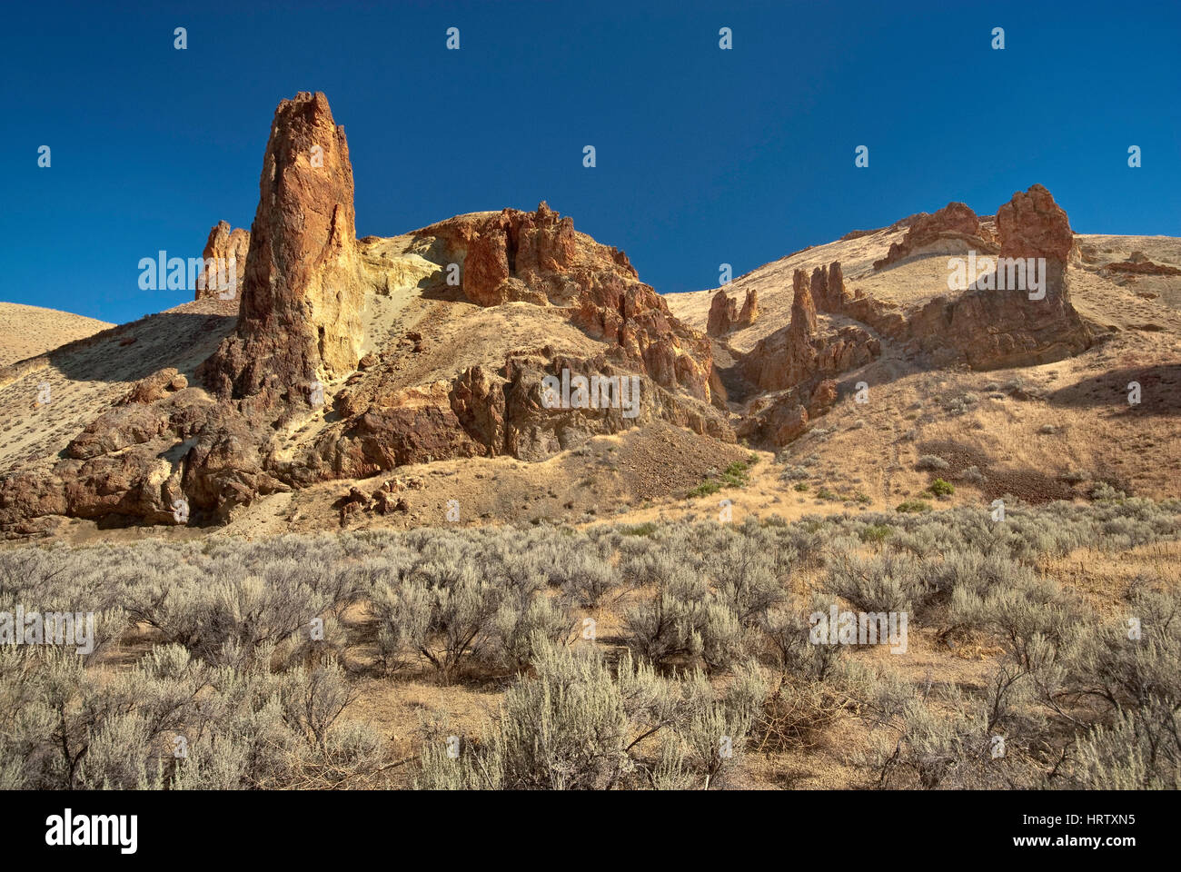 Vulkanischen Rhyolith Felsformationen in Leslie Gulch nahe Owyhee See, Mahagoni Berg Caldera, hohe Wüste Region, Oregon, USA Stockfoto