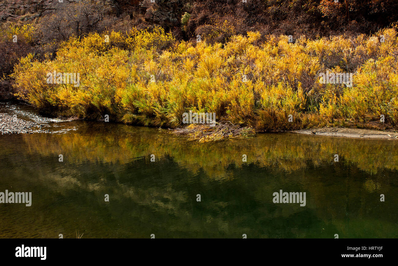 Schöne bunte Herbstlandschaft in Colorado, Amerika. Stockfoto