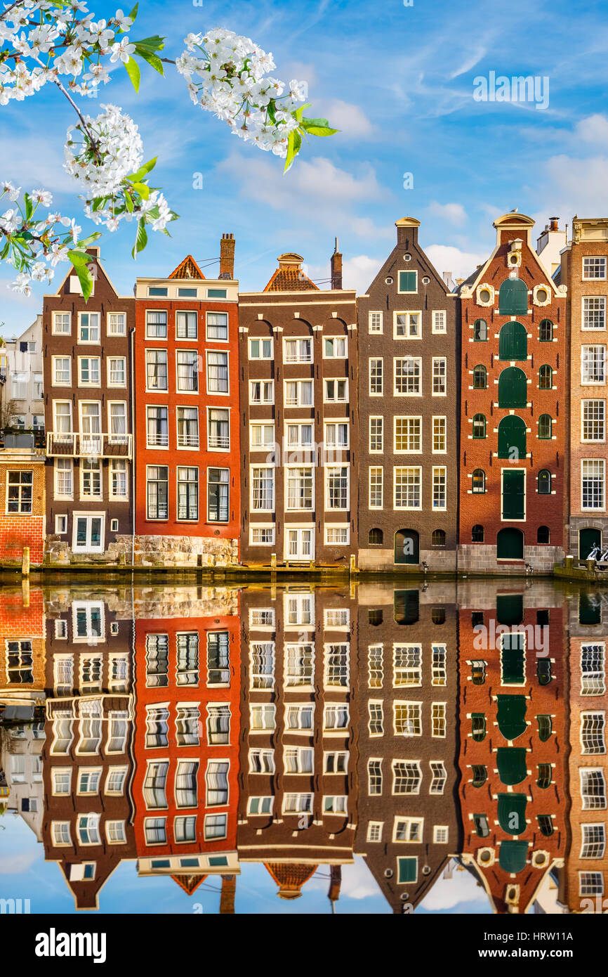 Traditionellen Altbauten in Amsterdam im Frühjahr, die Niederlande Stockfoto