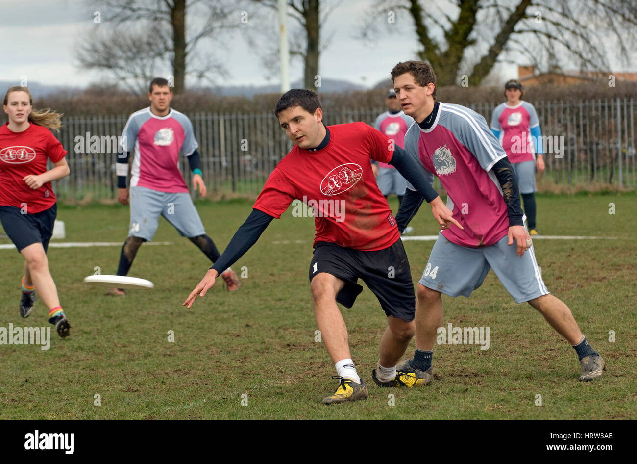 Frisbee-Team-match Stockfoto