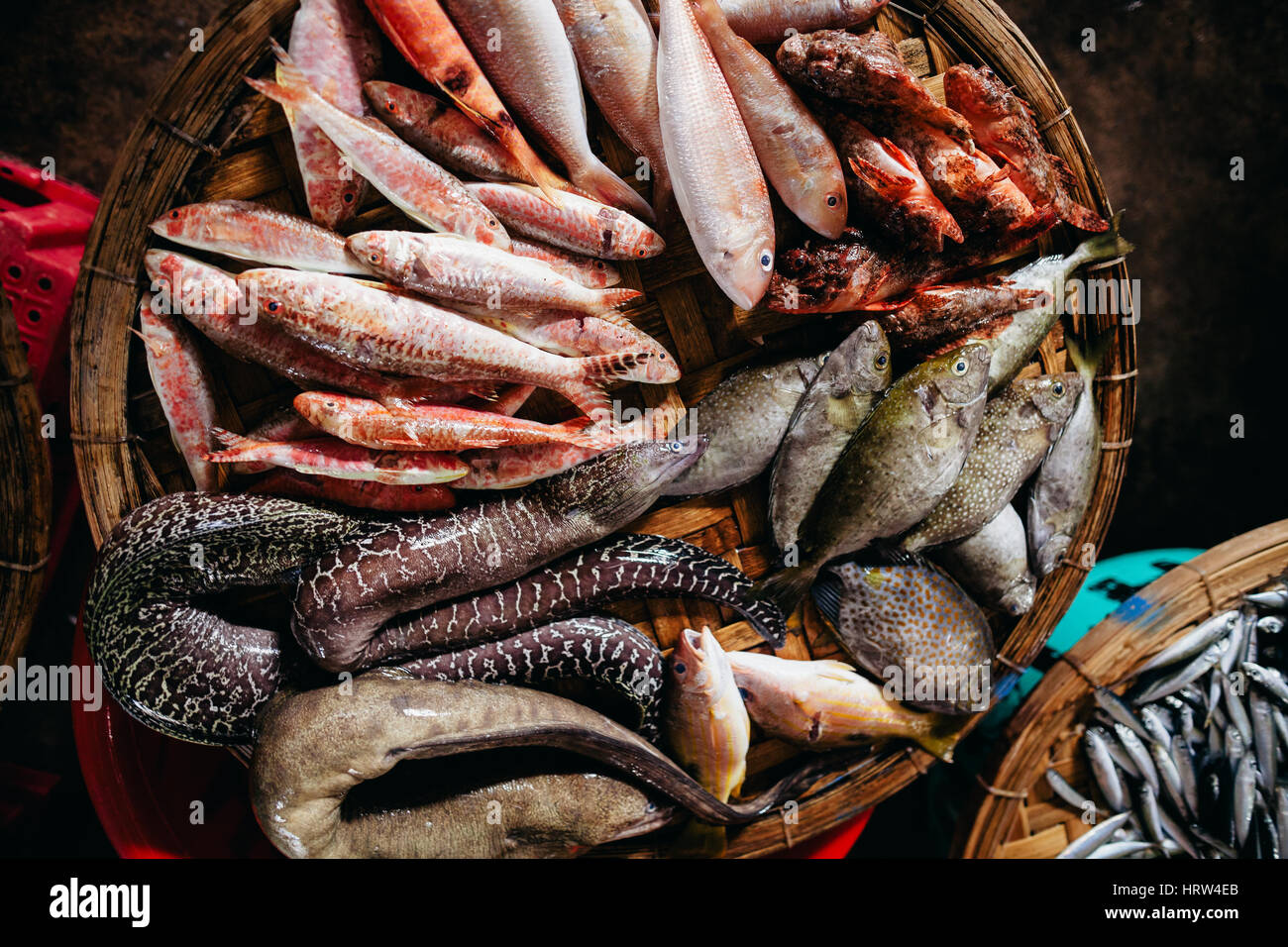 exotische Rohfisch-Sortiment mit Moray im asiatischen Markt Draufsicht in Vietnam Stockfoto