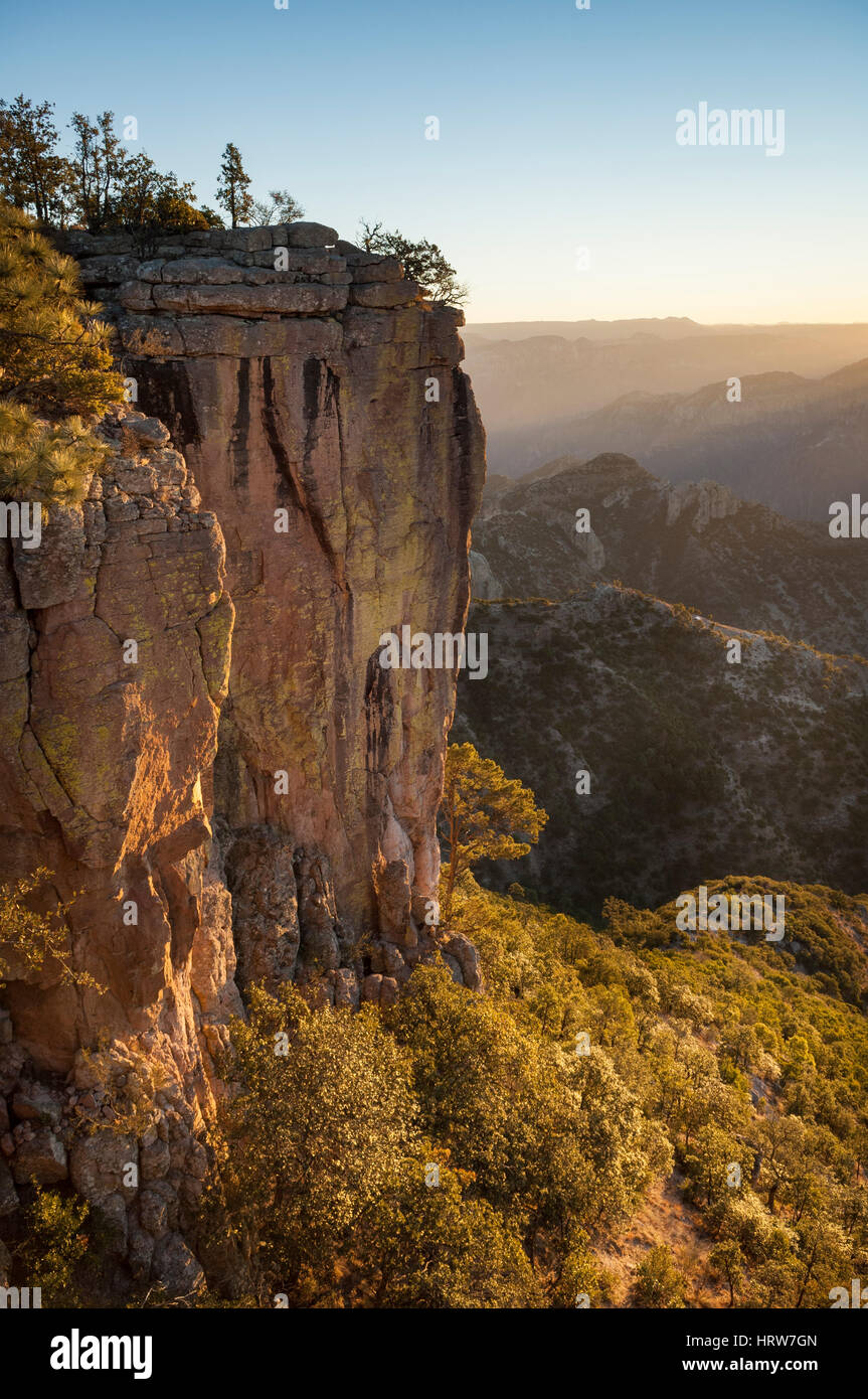 Copper Canyon, in der Nähe von Barancas; Chihuahua, Mexiko. Stockfoto