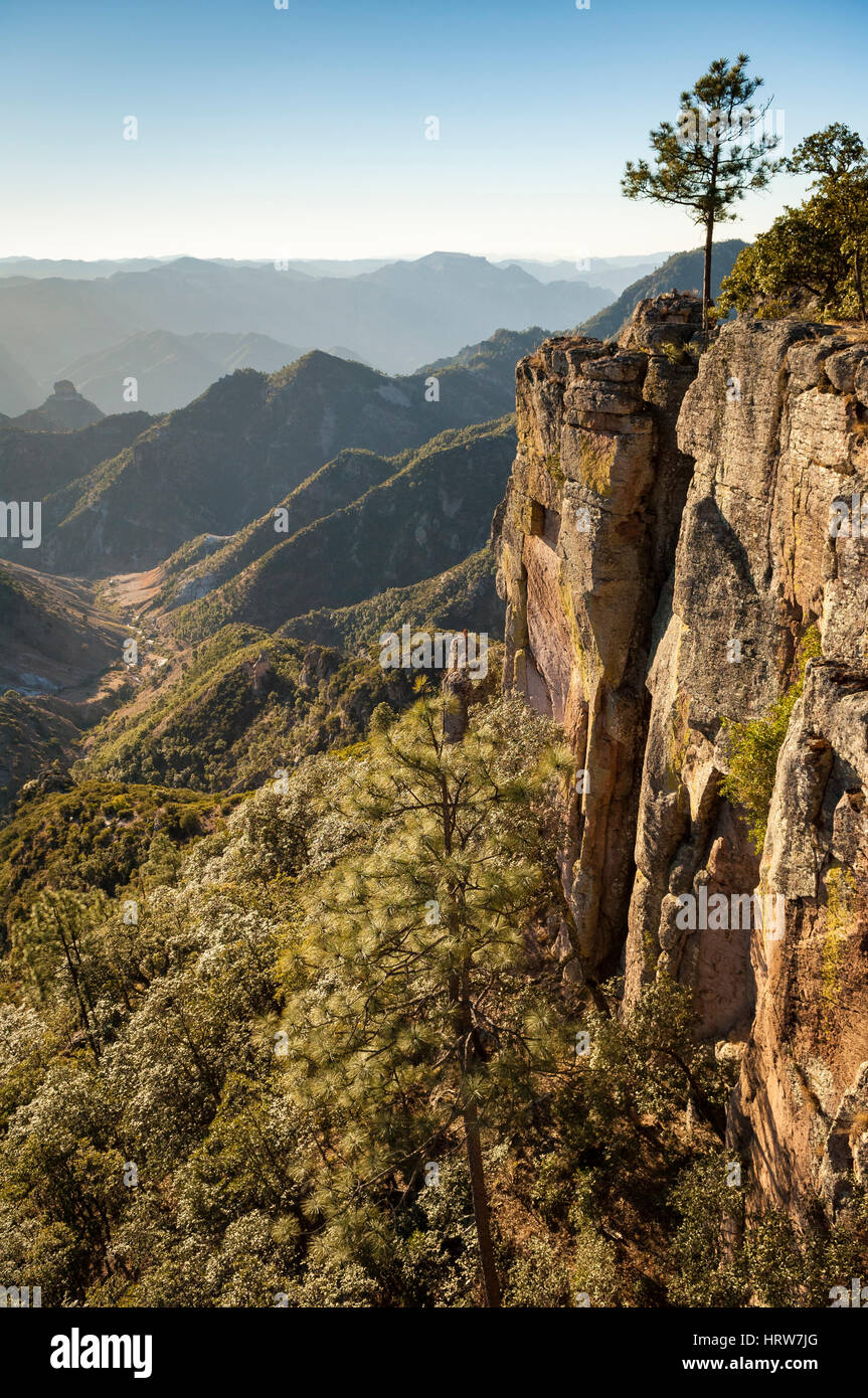 Copper Canyon in der Nähe von Barrancas, Chihuahua, Mexiko. Stockfoto