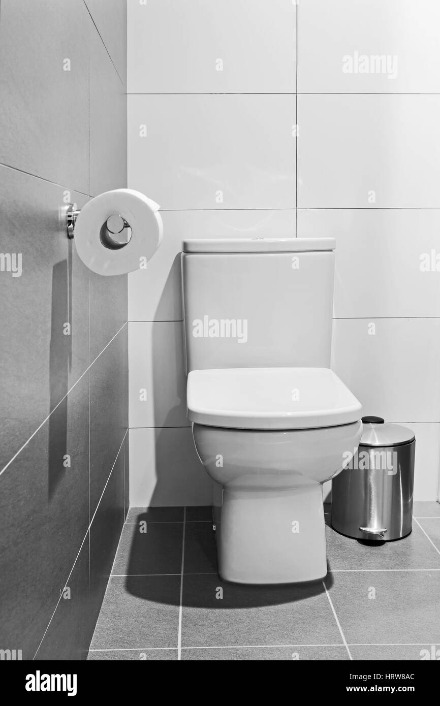 Weiße Keramik WC-Sitz mit Wassertank, Rolle Toilettenpapier und Mülleimer im modernen Badezimmer. Stockfoto