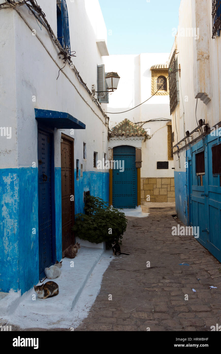 Schmale Straße in der Kasbah der Udayas, Rabat, Marokko Stockfoto