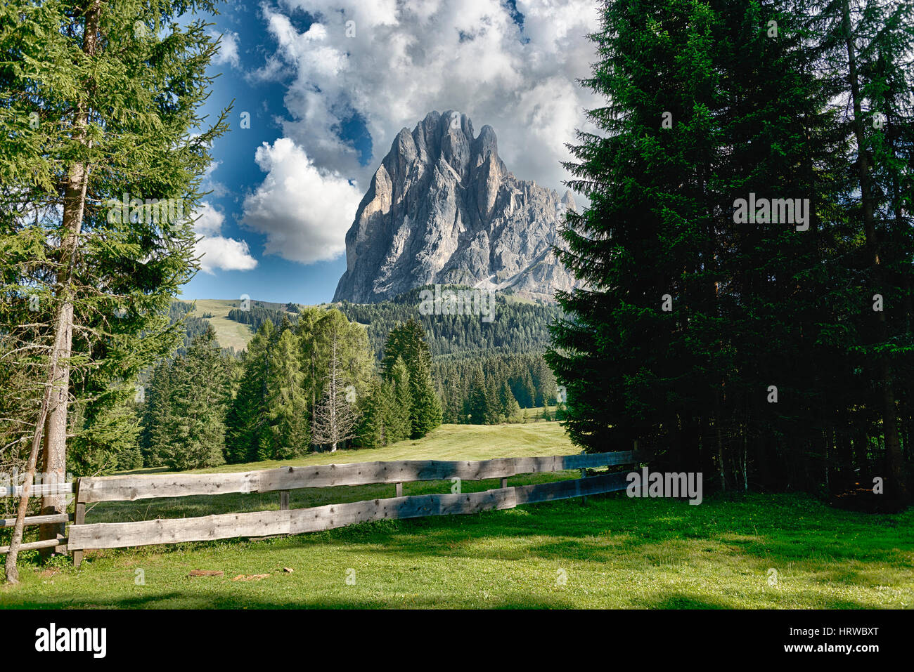 Wiese mit Zaun und Bäume im Vordergrund und im Hintergrund den Langkofel Berg mit teilweise bewölkter Himmel Stockfoto