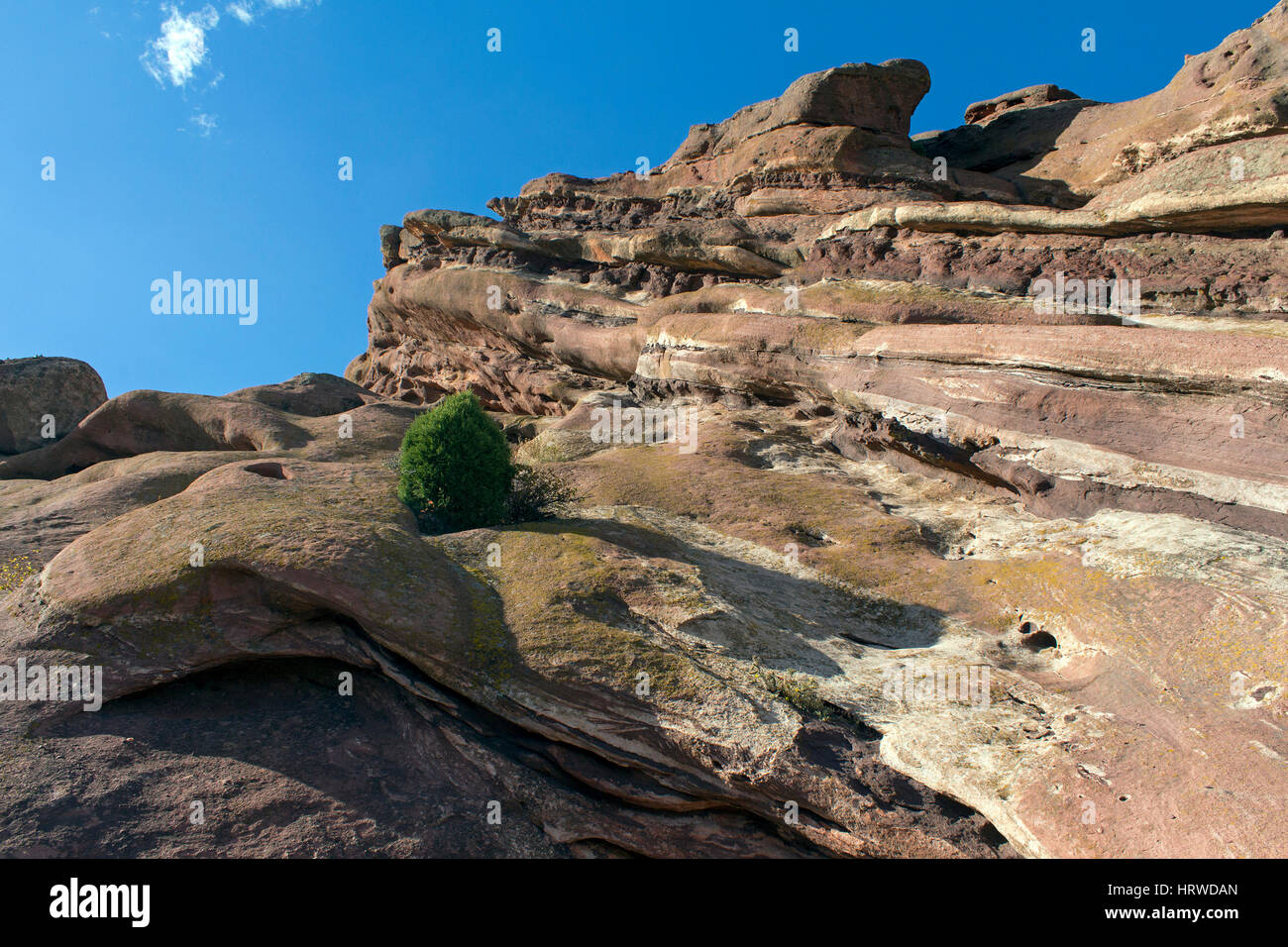 Roten Felsen, goldene Herbst in Colorado Stockfoto