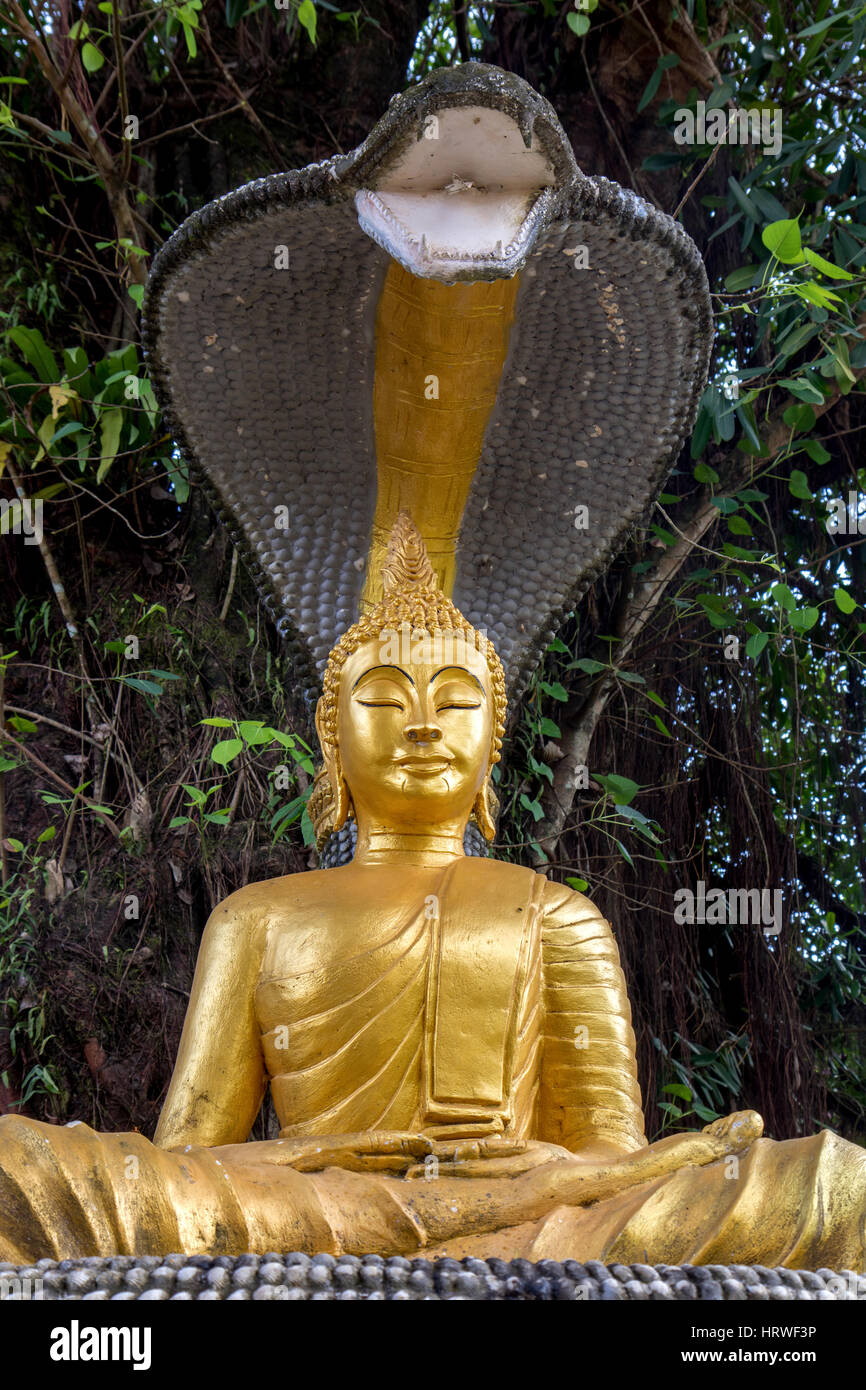 Vergoldeter Buddha sitzt unter einer Kobra im buddhistischen Kloster Wat Si Sou Mang, Vang Vieng, Provinz Vientiane, Laos Stockfoto