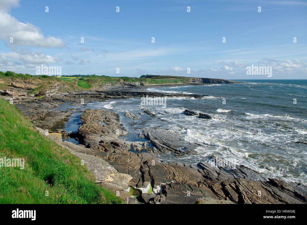 Cullernose Kopf, Northumberland Stockfoto