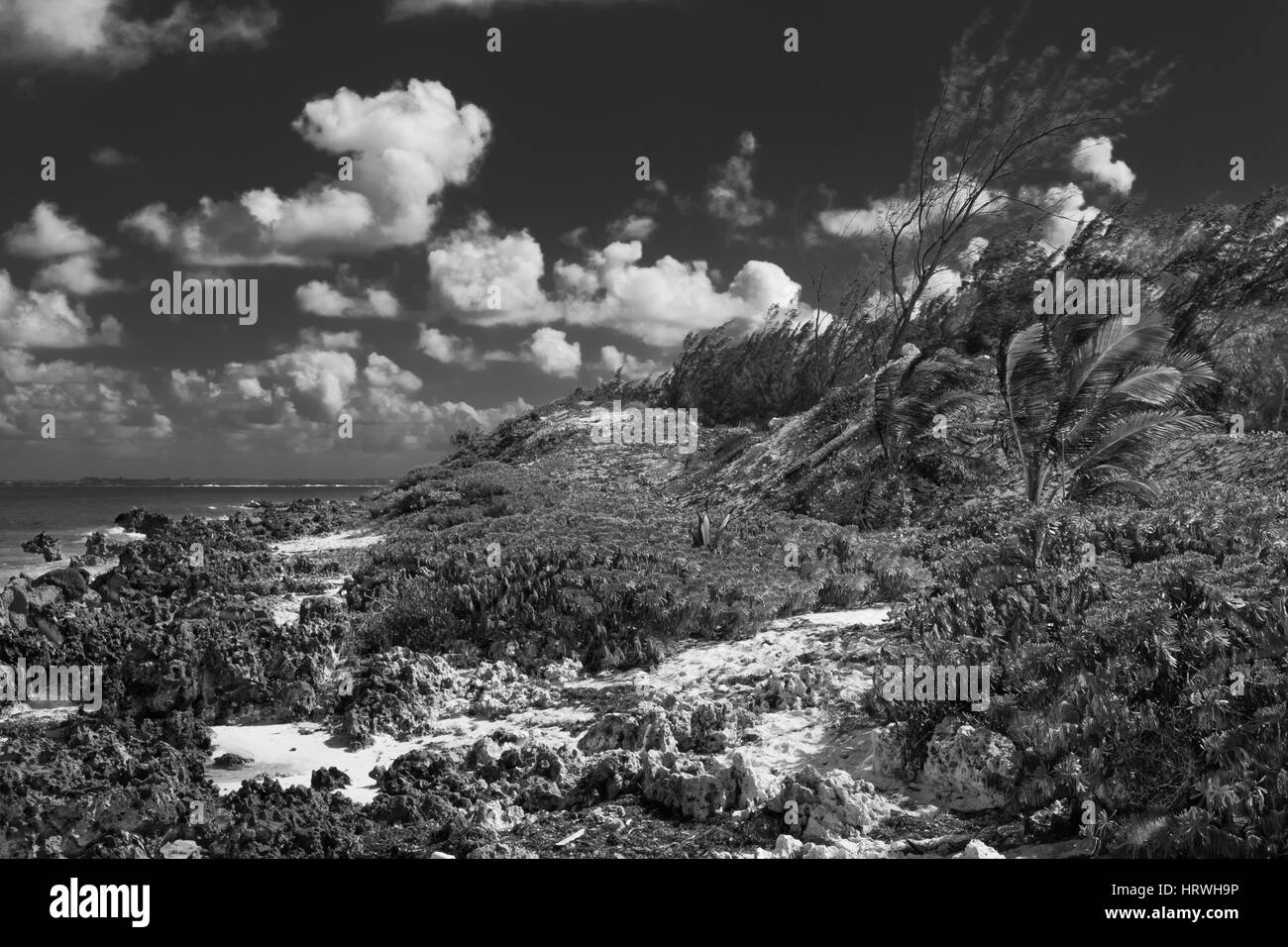 Rum Point Water Shore in der Karibik, Grand Cayman, Cayman Islands Stockfoto